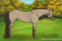 Horse Color:Liver Red Dun 