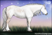 Horse Color:Gray White Spotted Bay