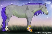 Horse Color:Watercolor Bay Ice Sabino 