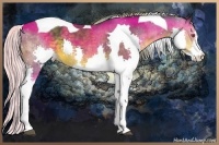 Horse Color:Silver Brown Chinchilla Splash Tobiano 