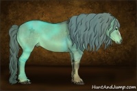 Horse Color:Liver Red Dun 