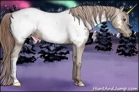 Horse Color:Classic Champagne Appaloosa