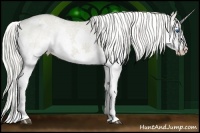 Horse Color:Silver Smoky Grullo Sabino Splash Appaloosa 