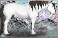 Horse Color:White Spotted Black 