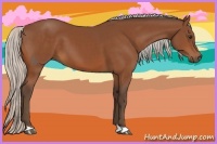 Horse Color:Silver Bay 