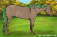Horse Color:Painted Liver Red Dun Roan 