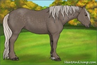 Horse Color:Silver Black 