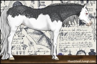 Horse Color:Silver Blue Chinchilla Roan Splash 