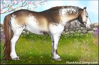 Horse Color:White Spotted Liver Red Onyx 
