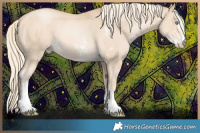 Horse Color:Palomino Pearl Sabino 