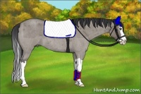 Horse Color:Grullo Roan Splash 