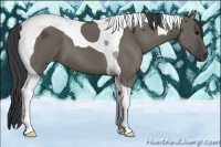 Horse Color:Smoky Grullo Tobiano
