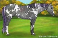 Horse Color:Painted White Spotted Smoky Black Ice