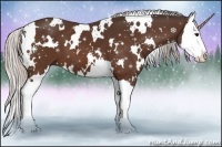 Horse Color:White Spotted Silver Brown Splash 