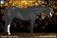 Horse Color:Black and Black