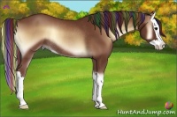 Horse Color:Painted Bay Onyx Splash Rabicano 