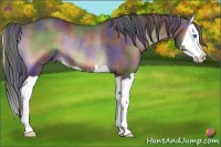 Horse Color:Nacre Blue Onyx Splash Rabicano 