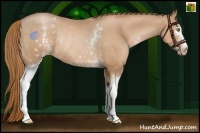 Horse Color:White Spotted Chestnut Pearl Rabicano 