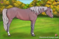 Horse Color:Watercolor Silver Bay Sabino 