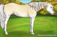 Horse Color:Silver Classic Champagne Onyx Splash 