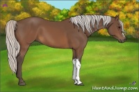 Horse Color:Silver Brown 