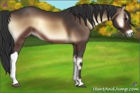 Horse Color:Brown Onyx