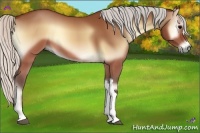 Horse Color:Silver Brown Onyx