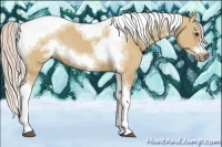 Horse Color:Silver Bay Dun Sabino Tobiano Frame Rabicano 
