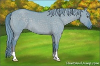 Horse Color:Watercolor Chocolate Palomino Dun