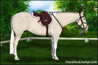 Horse Color:Cremello Tobiano 