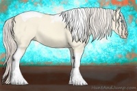 Horse Color:Cremello Dun Tobiano