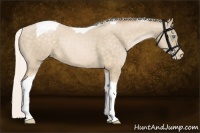 Horse Color:Silver Buckskin Pearl Tobiano 