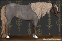 Horse Color:Liver Red Roan 
