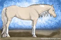 Horse Color:Cremello Tobiano