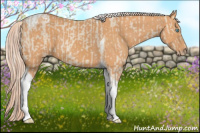 Horse Color:Cremello Tobiano  and Gray Cremello Tobiano 