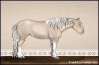 Horse Color:Chocolate Palomino Pearl Tobiano 