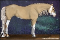 Horse Color:Palomino Dun and Palomino Dun Splash