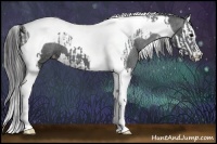 Horse Color:Black Tobiano Varnish  and Black Splash Tobiano Varnish 