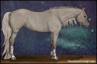 Horse Color:Silver Grullo  and Silver Grullo Roan 
