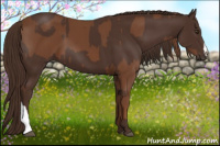 Horse Color:Chestnut and Gray Chestnut