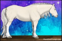 Horse Color:Cremello Tobiano