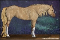 Horse Color:Red Dun and Red Dun