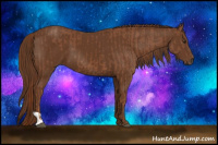 Horse Color:Chestnut  and Gray Chestnut 