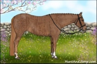 Horse Color:Chestnut  and Chestnut 