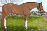 Horse Color:Chestnut and Chestnut