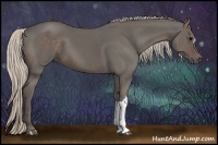 Horse Color:Silver Black and Silver Black
