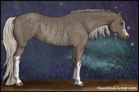Horse Color:Silver Black  and Silver Black Rabicano 