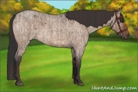Horse Color:Chocolate Brown Roan Dun  and Brown Roan Dun 