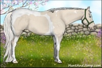 Horse Color:Cremello Tobiano
