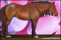 Horse Color:Chocolate Bay 